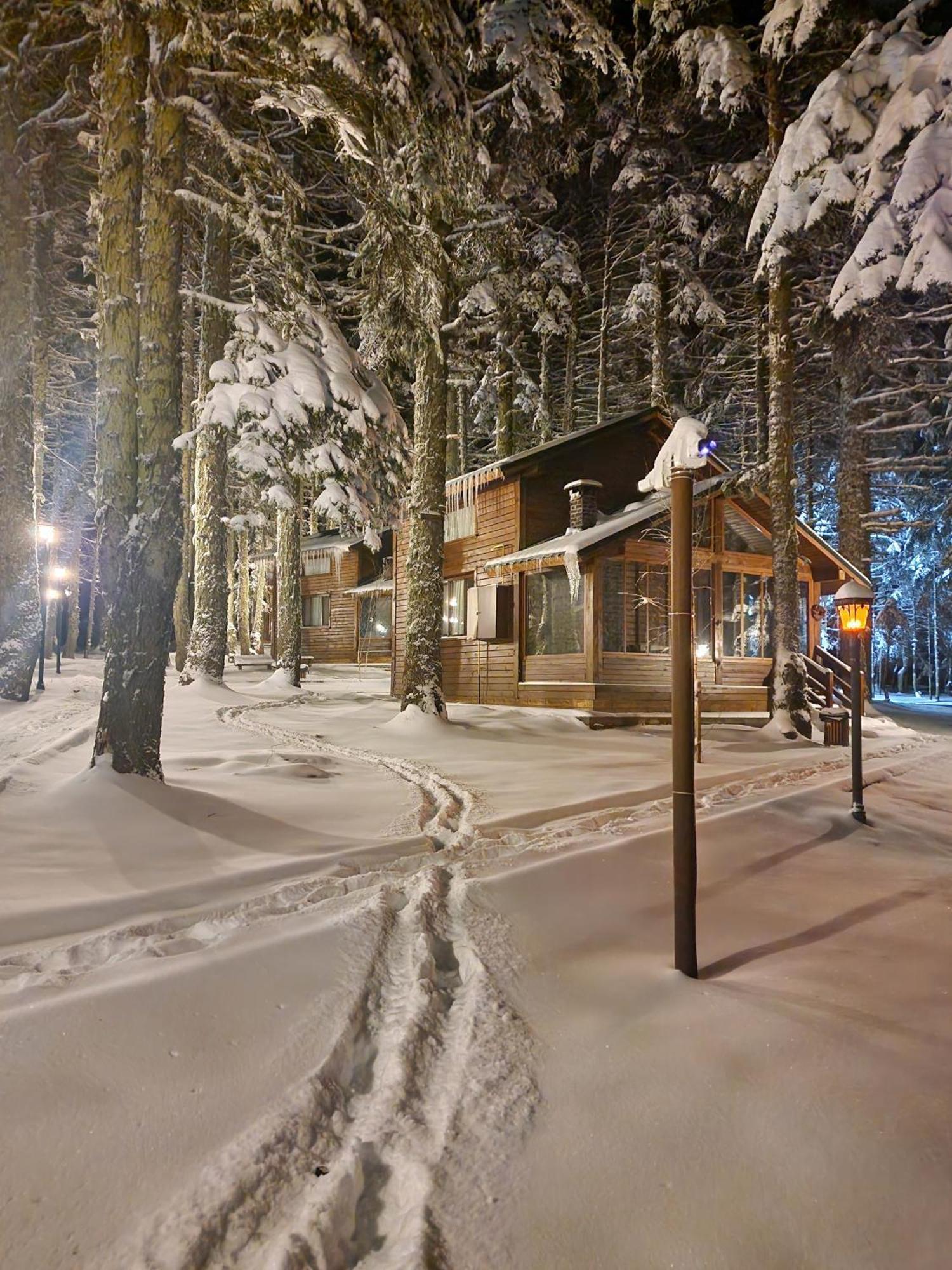 Lodge çobankaya Orman Koskleri *