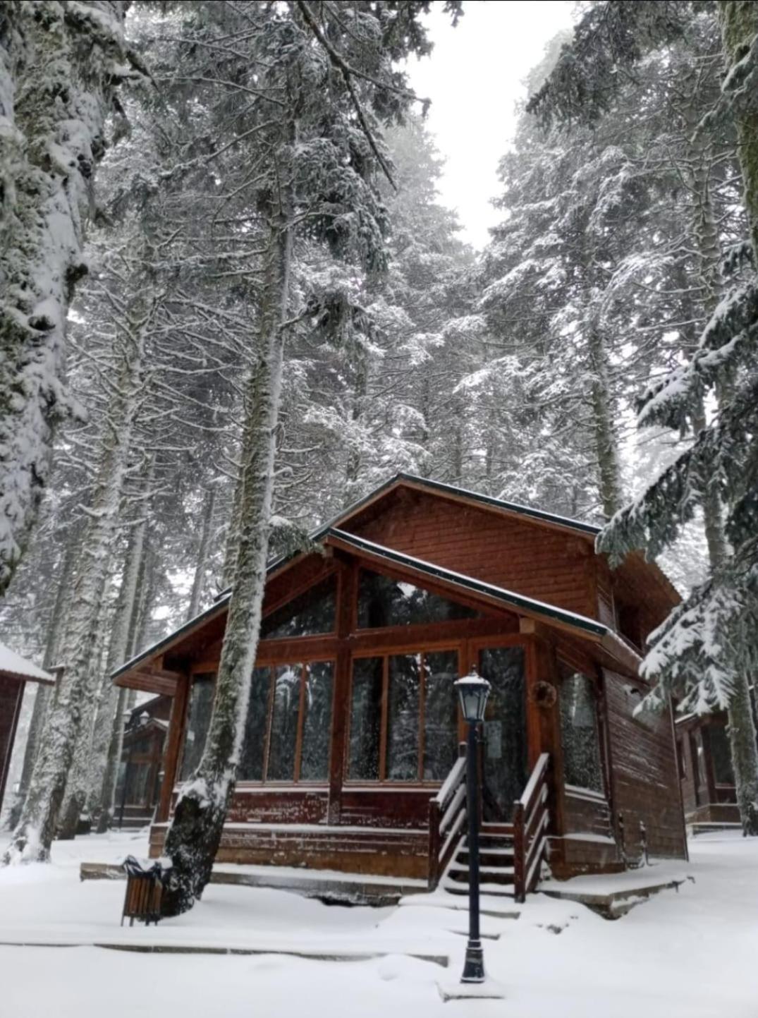 Lodge çobankaya Orman Koskleri