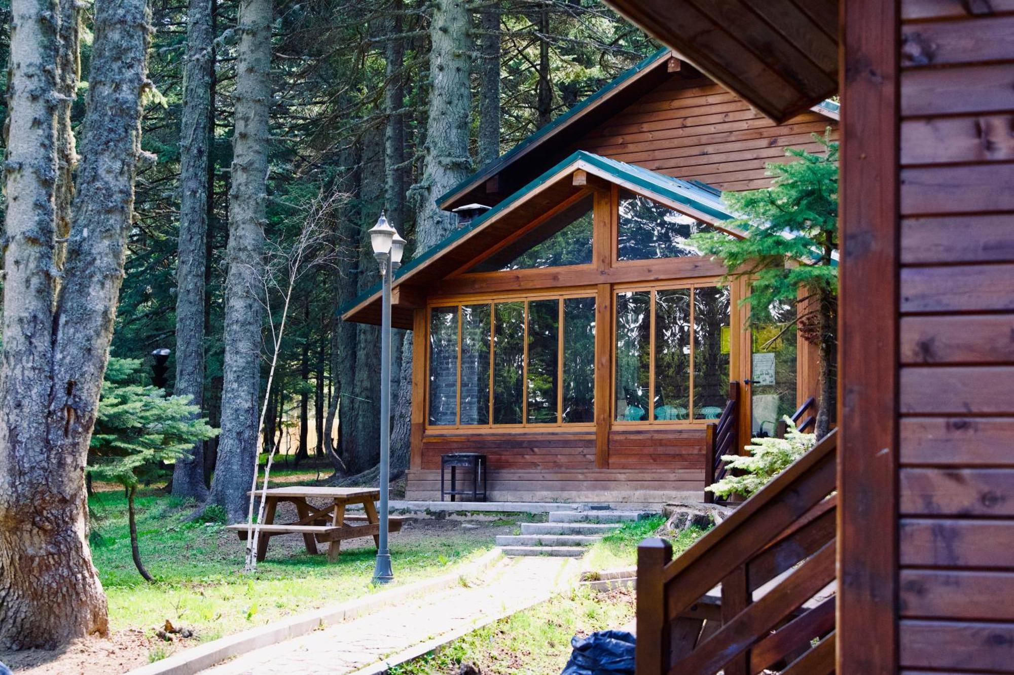 çobankaya Orman Koskleri Lodge Uludag (Bursa)