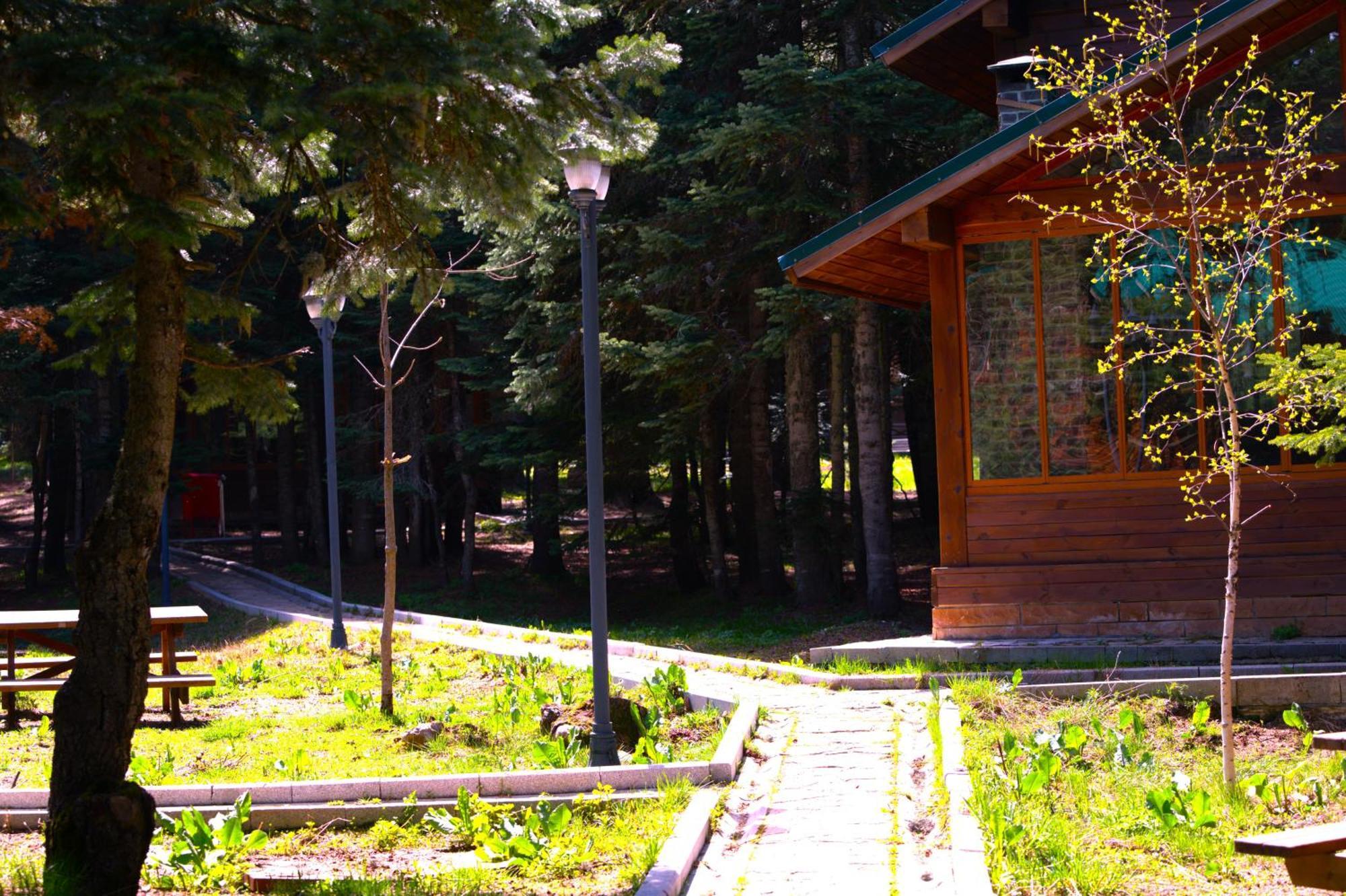 Lodge çobankaya Orman Koskleri