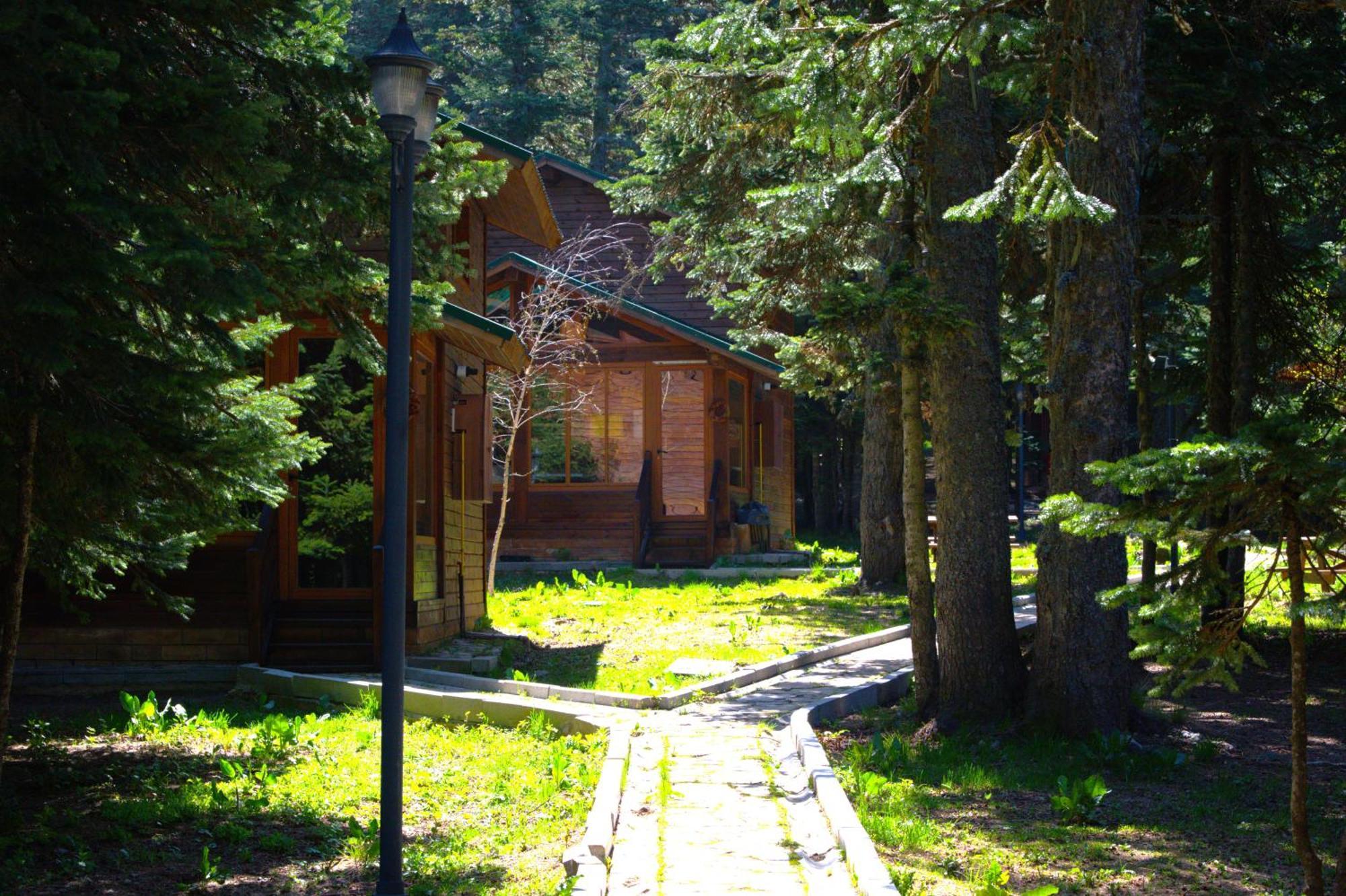 çobankaya Orman Koskleri Lodge Uludag (Bursa)
